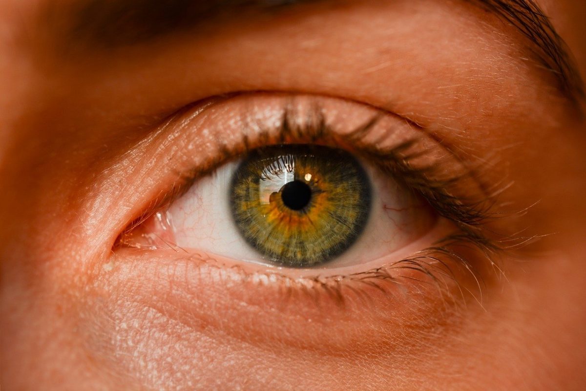 Oczy to niezwykły organ. To dokładnie dzięki nim spostrzegamy.