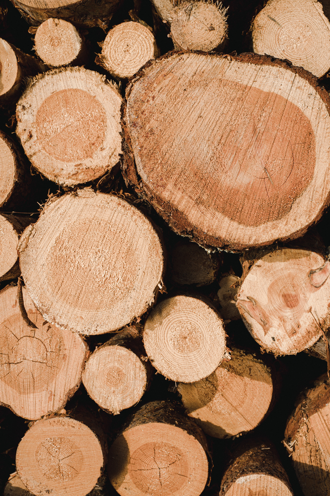 Tartak – Źródło Wspaniałego Drewna: Kreuj Z Pasją i Wytrzymałością.